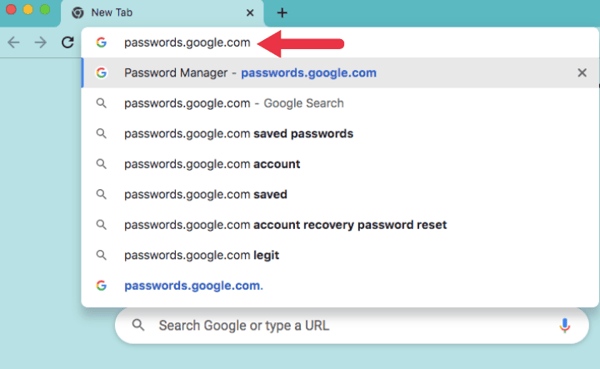 password.google